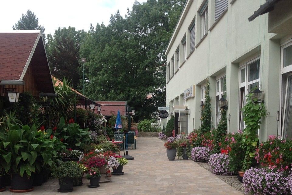 Wirtshaus | Hoyerswerda | Restaurant Olympia